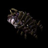 Infestor