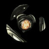 Disruptor