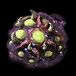Spawn Creep Tumor