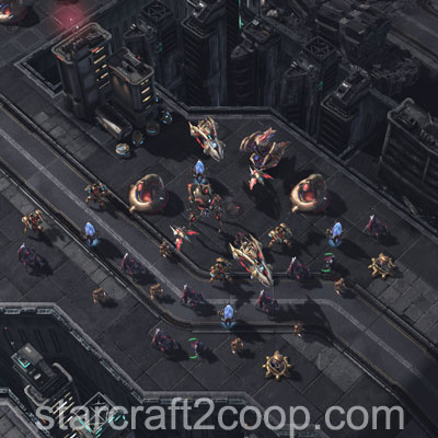 shard3camp Picture