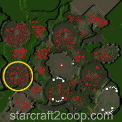 Base Minimap